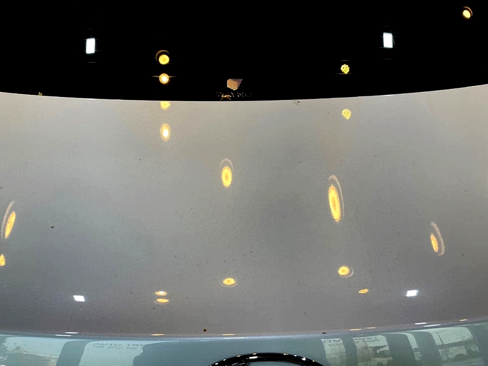 사진 6
